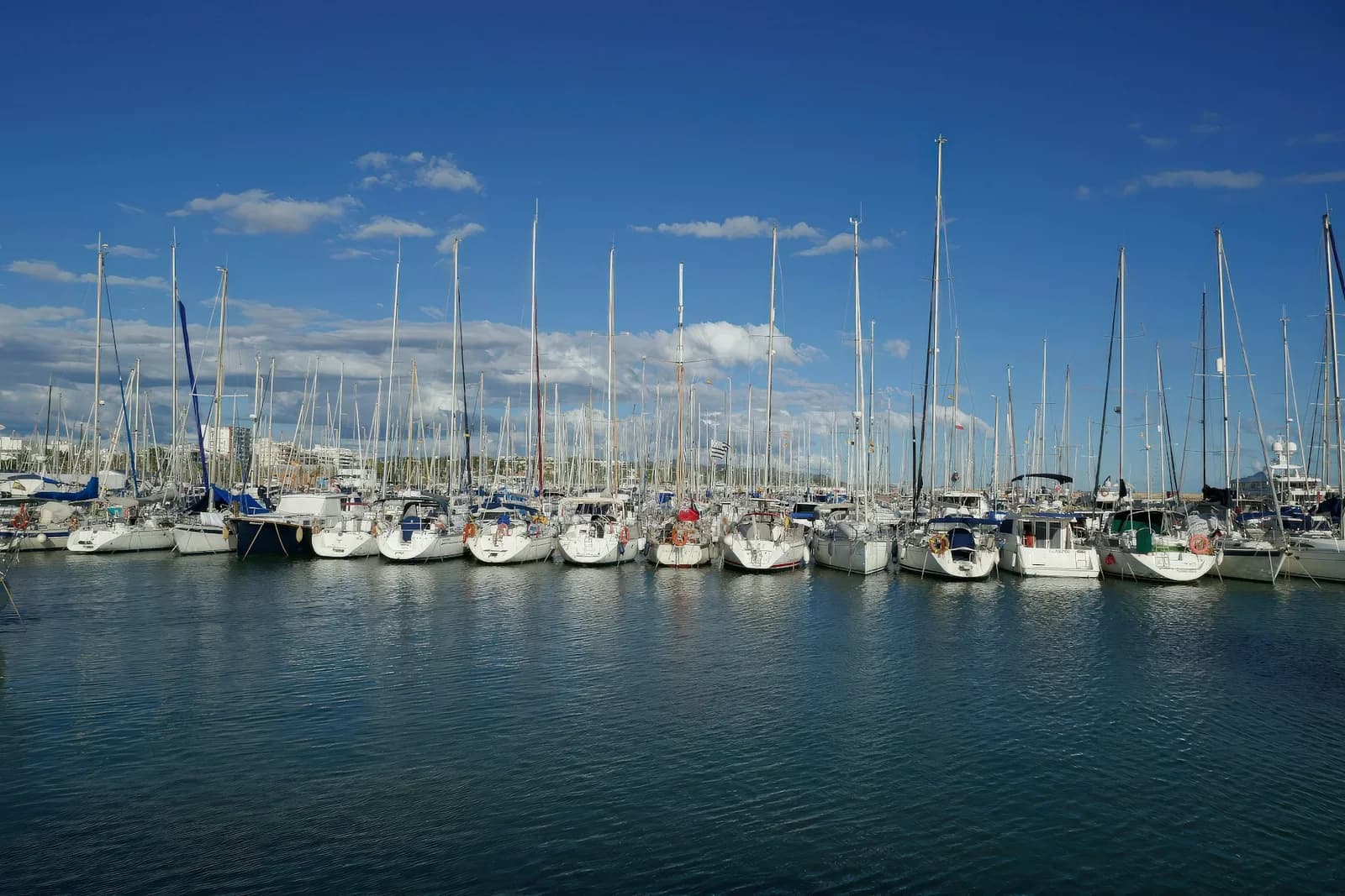 Sailboats moored side by side in a marina under a blue sky at Harbor Marine