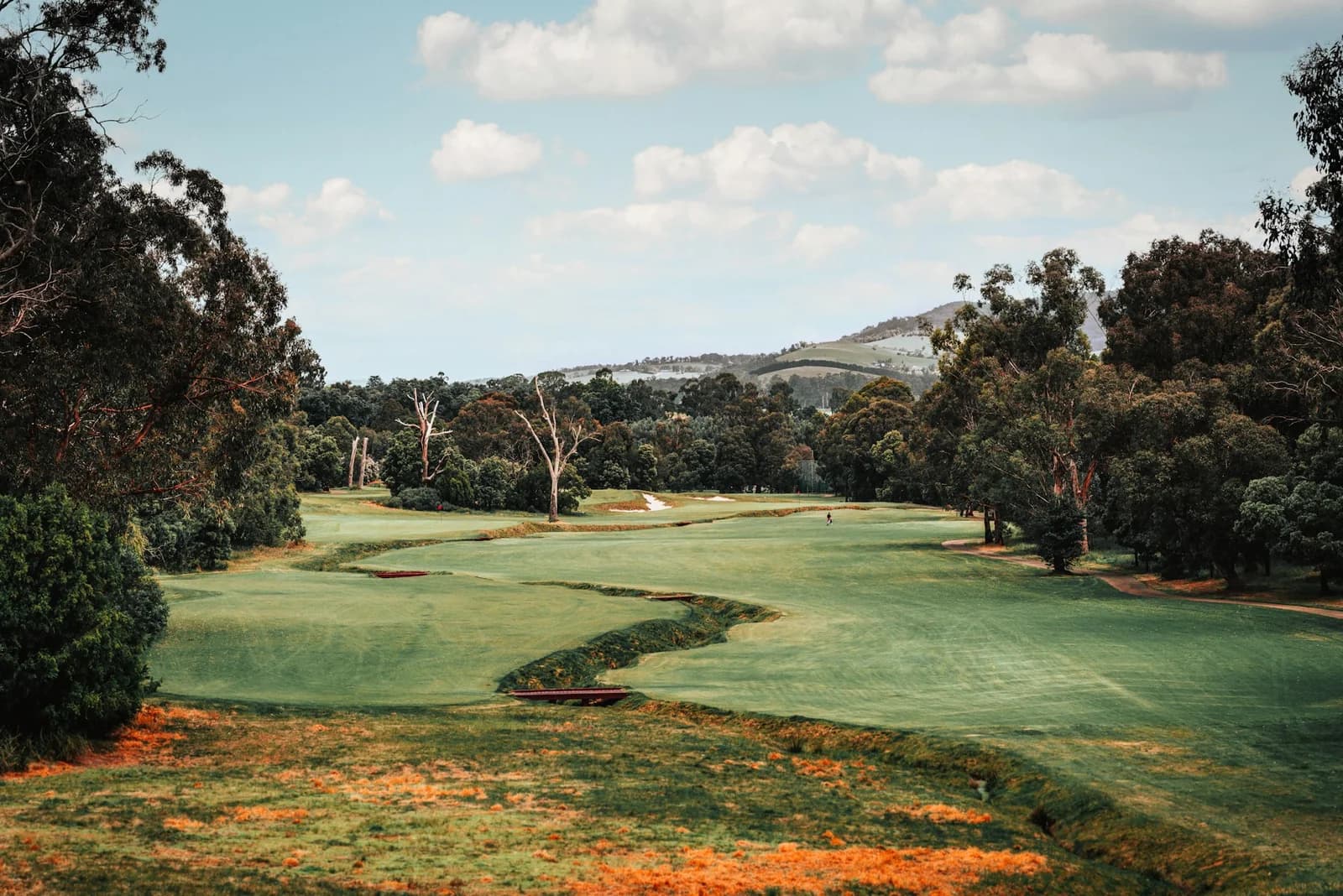 A landscaped golf fairway framed by mature trees at The Pines Club
